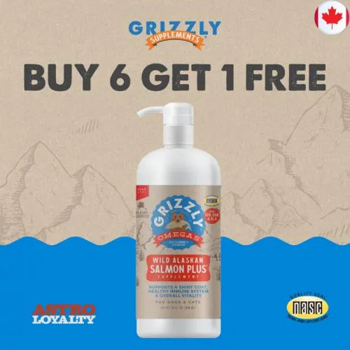 Promotion Image