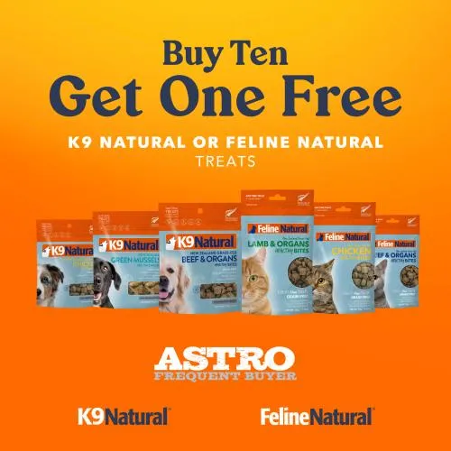 Promotion Image