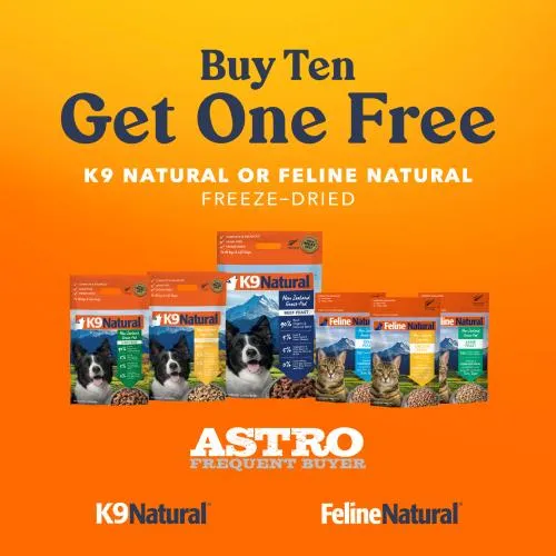 Promotion Image