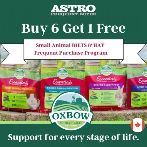 Promotion Image