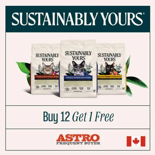 Promotion Image