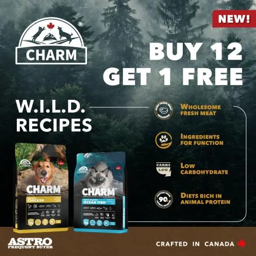 Promotion Image