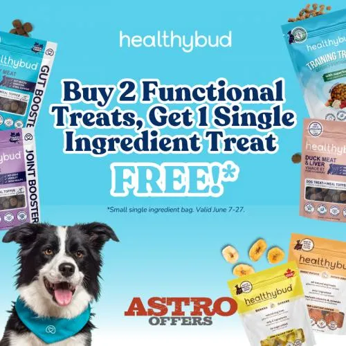 Promotion Image