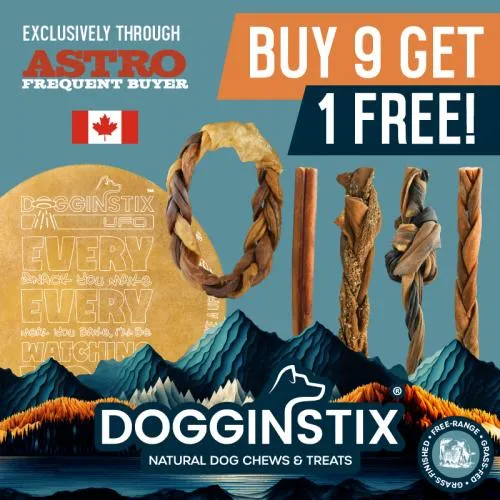 Promotion Image
