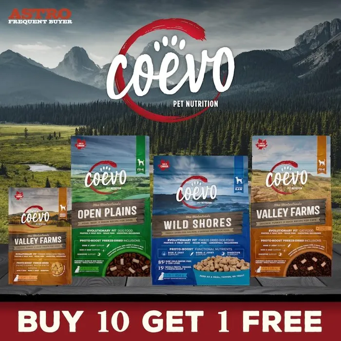 Promotion Image