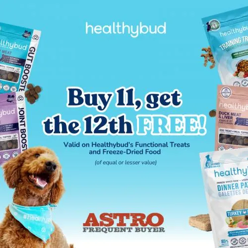 Promotion Image