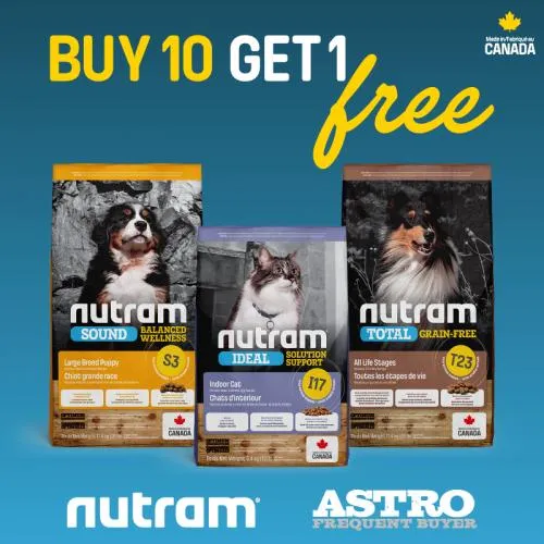 Promotion Image