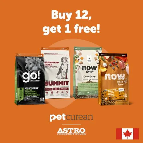 Promotion Image