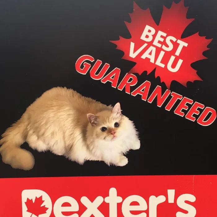 Promotion Image